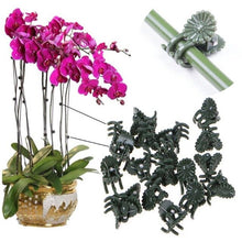 Load image into Gallery viewer, 50/100Pcs Clear Hanging Plastic Vegetables Plant Vine Gardening Tool Clips Clamp
